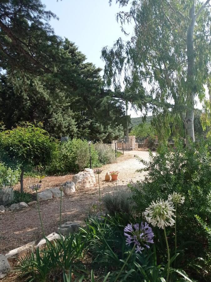 Dimora Dalia - Puglia Mia Apartments Monopoli Eksteriør bilde